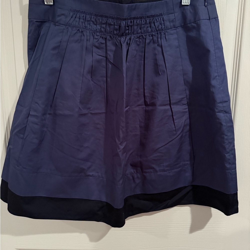J. Crew Blue Women's Skirt